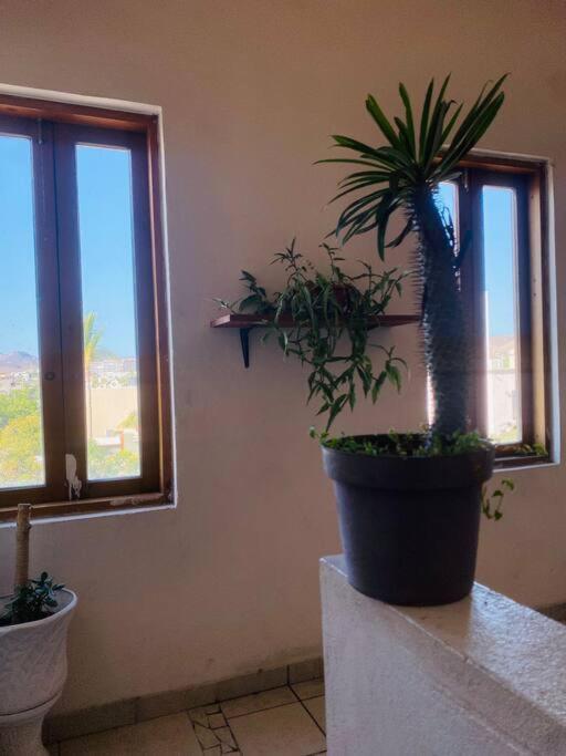 Апартаменты Casa Bahia 2 Blocks Malecon Amaizing Ocean View Ла-Пас Экстерьер фото